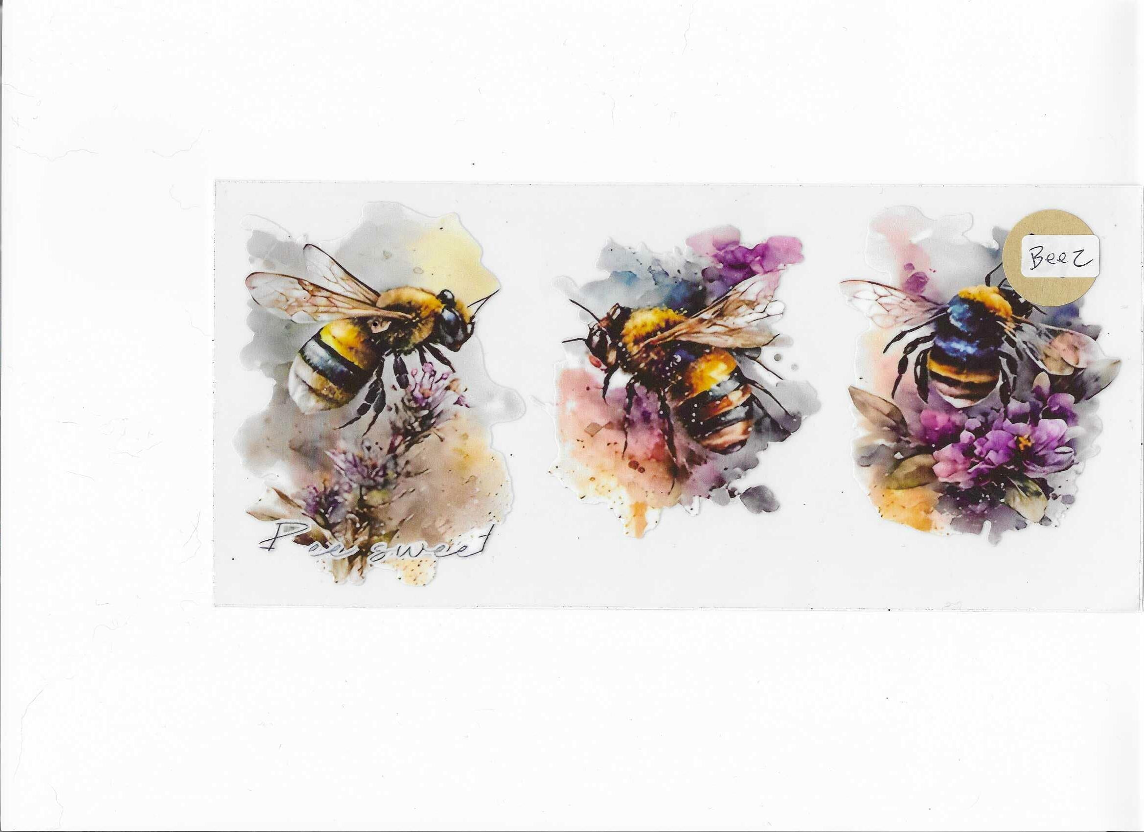 BEE 2