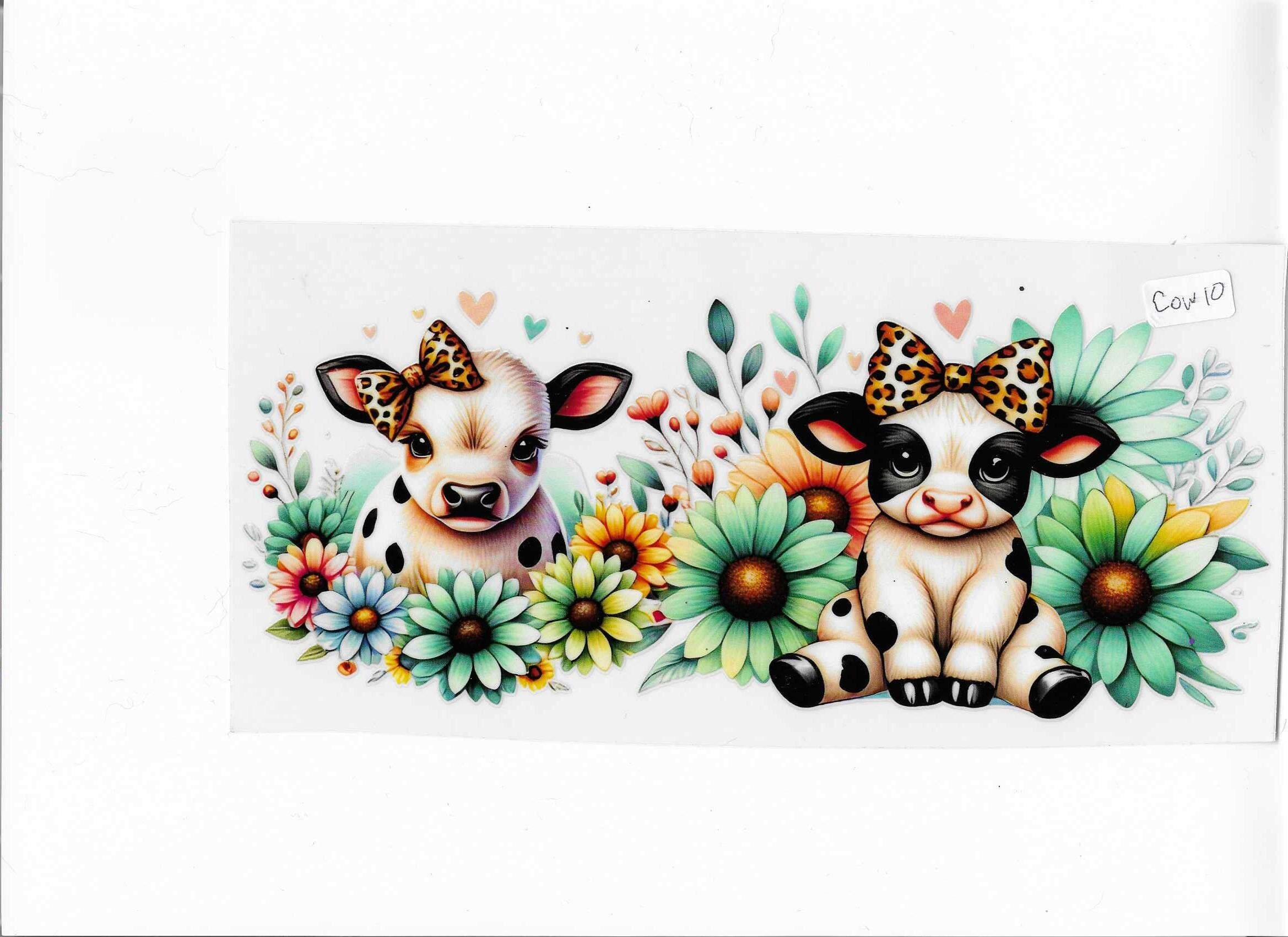 cup wrap cow 10