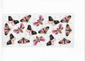 moth or butterfly's