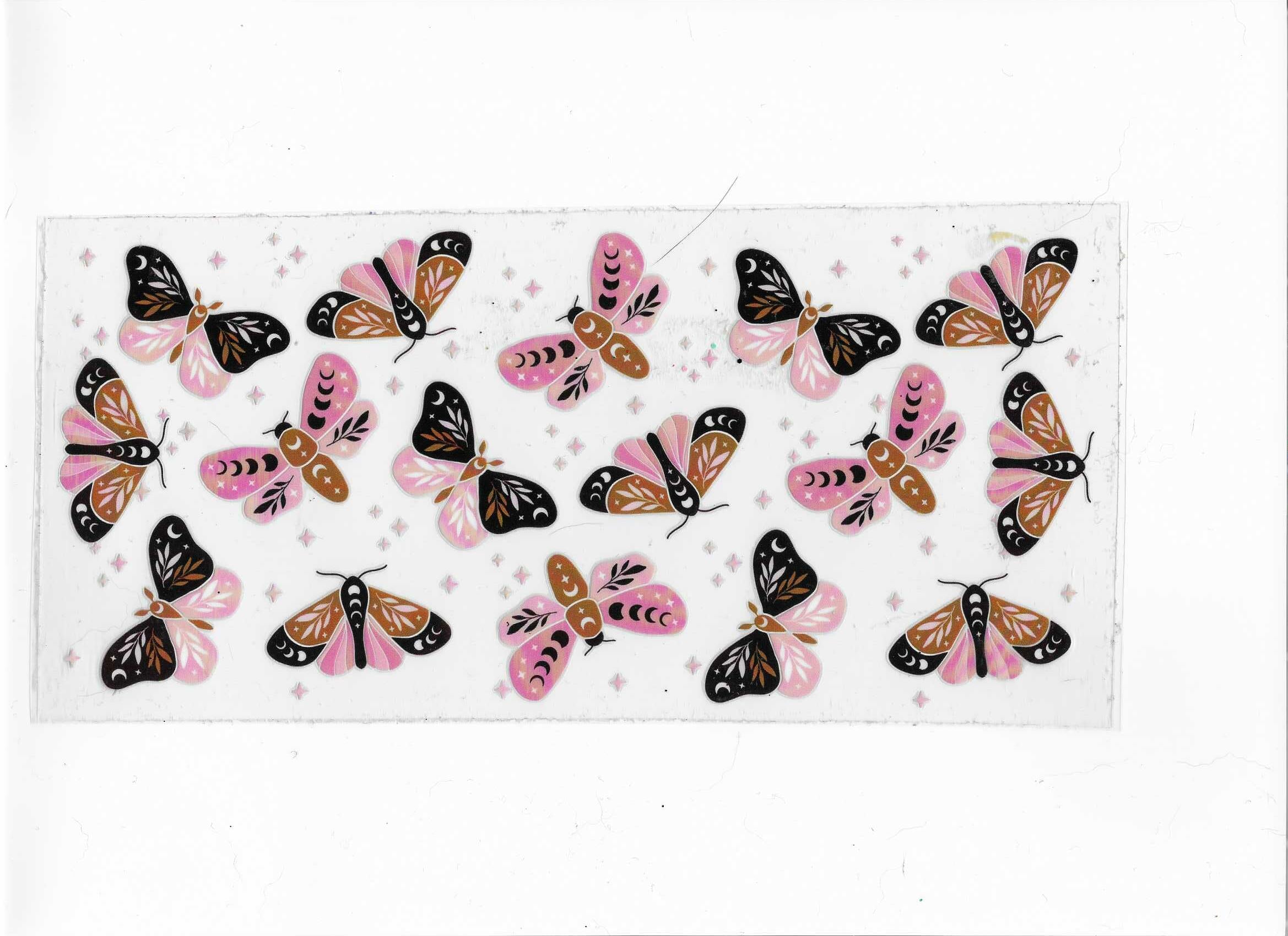 moth or butterfly's